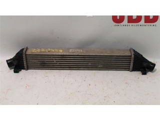 Интеркулер  K68102118AA   Fiat Freemont 