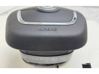 Подушка безопасности водителя 1Z0880201AK Skoda Octavia Mk2 (1Z)