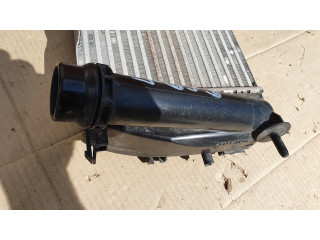 Интеркулер 14461B681A, 144965154R Dacia Duster II 0.0