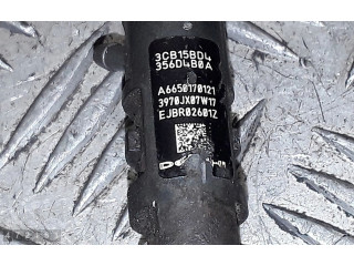 Форсунка     SsangYong Rexton   