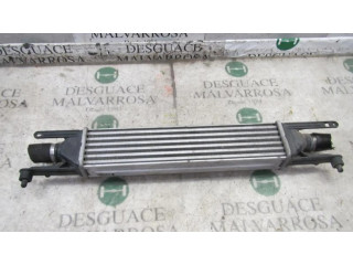 Интеркулер 51837369 Fiat Punto Evo 1.2