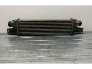 Интеркулер 665925 SsangYong Rexton I