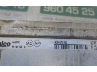 Интеркулер     Peugeot Partner 