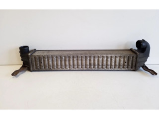 Интеркулер 7M3145805 Seat Alhambra (Mk1)