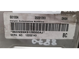 Řídící jednotka 12202143, 12202143 Opel Zafira A