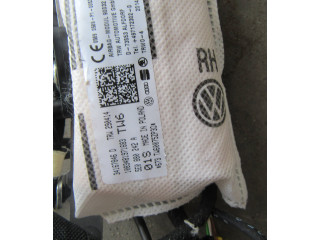 Подушка безопасности в сиденье 5E0880242A, 1083481971683 Skoda Octavia Mk3 (5E)