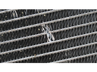 Поршень Радиатор охлаждающей жидкости  A0995001303, 0665C  Mercedes-Benz GL X166  