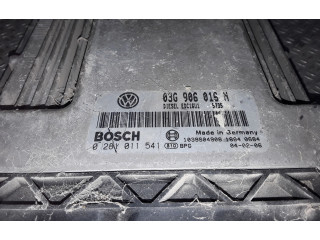 Řídící jednotka 03G906016N   Volkswagen Caddy 2005