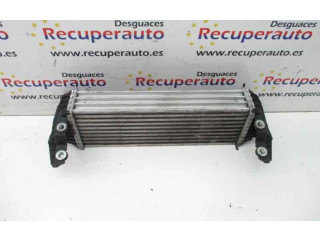 Интеркулер Ford Transit - Tourneo Connect