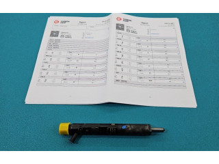 Vstřikovač EJBR04101D, IMPRK1439352 Renault Megane II