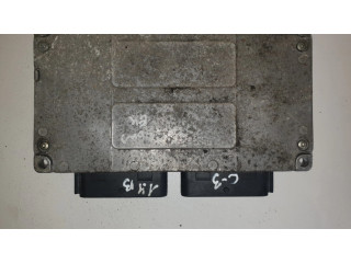 Řídící jednotka S118047521A Citroen C3 2004