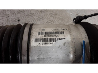 Задний aмортизатор      