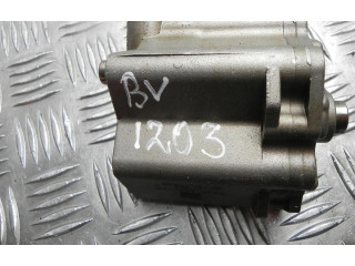 Čerpadlo oleje F2GE6600AA, BV1203 Ford Mustang V