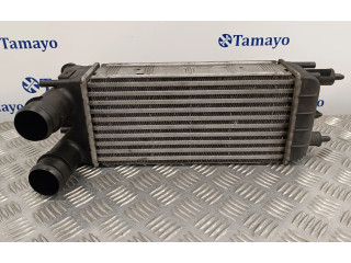 Интеркулер 9684946380, M144207D Citroen C5