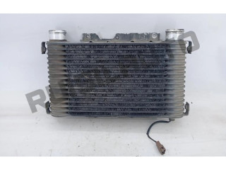 Интеркулер NAO-VISIVEL Mitsubishi Pajero