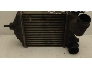 Интеркулер     Fiat Punto (188) 