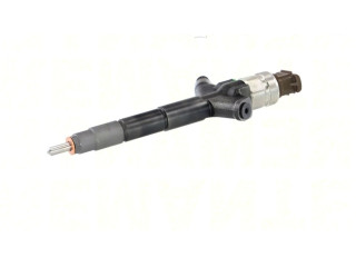 Vstřikovač 295050030, 295050030 Nissan Murano Z51