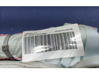 Боковая подушка безопасности 6V0880742B, 6V0880742B Skoda Fabia Mk3 (NJ)