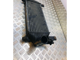 Интеркулер F6864 Nissan Pathfinder R51 2.5