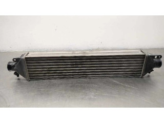 Интеркулер     Fiat Bravo 1.9