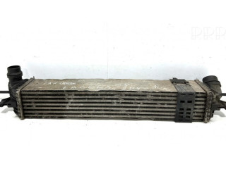 Интеркулер  144960001RG, 144960001R   Renault Laguna III 2.0