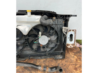 Блок управления климат-контролем 1L848653HBA, 1290811 Mazda 6