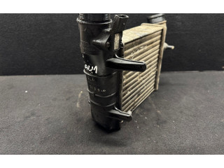 Интеркулер  8E0145805AA, 038906051C   Audi A6 S6 C5 4B 