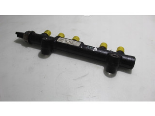 Топливная рампа 113262413   Citroen C3  