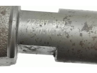 Форсунка 0445110419, 22356399    Jeep Cherokee   