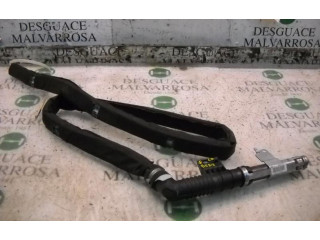 Подушка безопасности двери 8200432650, 8200187315   Renault Vel Satis