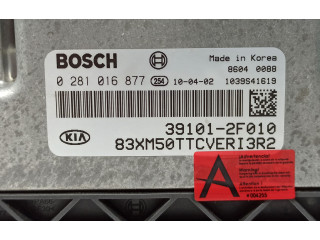 Блок управления двигателя 391012F010, 0281016877   KIA Sorento