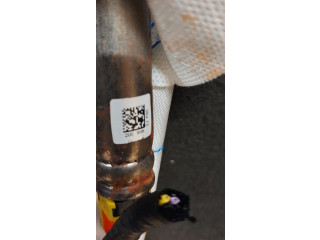 Поршень Надувная подушка для сиденья  LJ6BS611D10AD  Ford Escape IV  