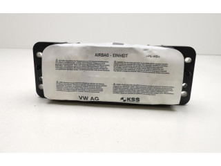 Подушка безопасности двери 6V0880204 Skoda Fabia Mk3 (NJ)