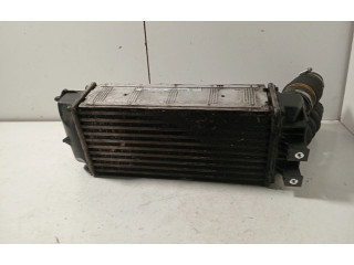 Интеркулер 9800291280, 9800291280 Citroen Berlingo