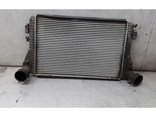 Интеркулер     Skoda Octavia Mk2 (1Z) 