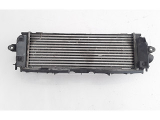 Интеркулер  8200411160   Renault Trafic II (X83) 