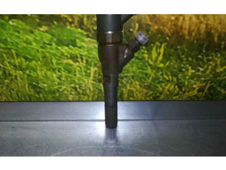 Vstřikovač 0445110044, BOSCH   Peugeot 307     