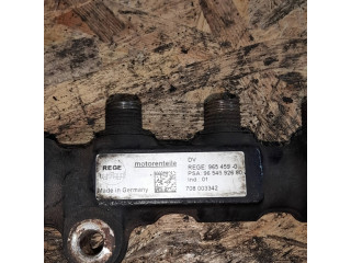 Vstřikovací lišta 9654592680, 9654590 Citroen Xsara Picasso pro naftový motor 2.0