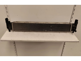 Интеркулер Skoda Fabia Mk2 (5J)