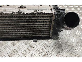 Интеркулер     BMW X3 F25 