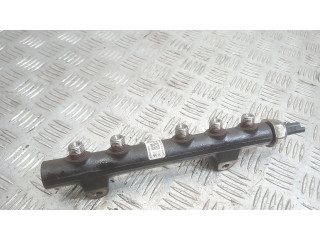 Топливная рампа 9685297580, 9670076780   Citroen C3 Picasso 1.6  для двигателя 9H06