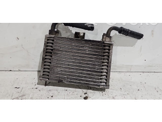 Интеркулер     Alfa Romeo GT 