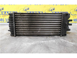 Интеркулер 9645965180, 874964GJ Citroen Xsara Picasso