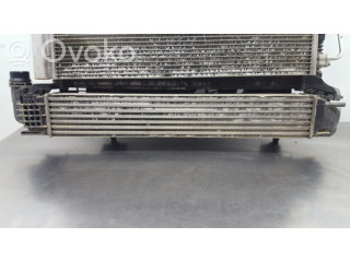 Интеркулер 8200880552 Dacia Duster 1.5