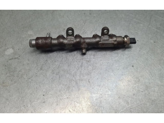 Топливная рампа 9821399680, 221871627   Peugeot Partner III  