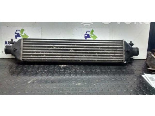 Интеркулер     Fiat Bravo - Brava 