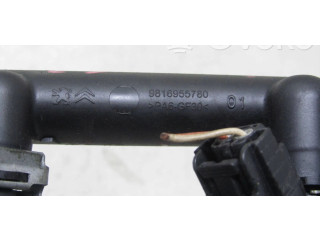 Vstřikovací lišta 9816955780 Citroen C3 HM01