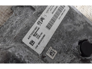 Блок управления двигателя 9843252980 Peugeot 208