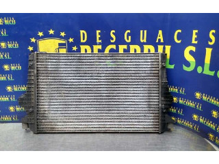 Интеркулер     Seat Alhambra (Mk1) 