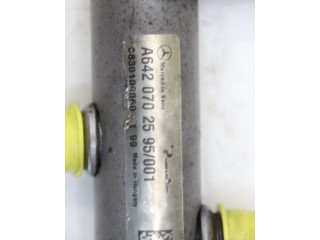 Vstřikovací lišta 6420702595, 6420702595 Mercedes-Benz ML AMG W164 642940